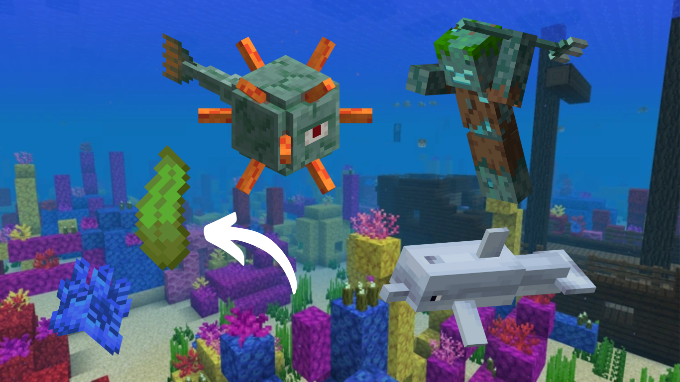 Recursos del bioma oceánico de Minecraft