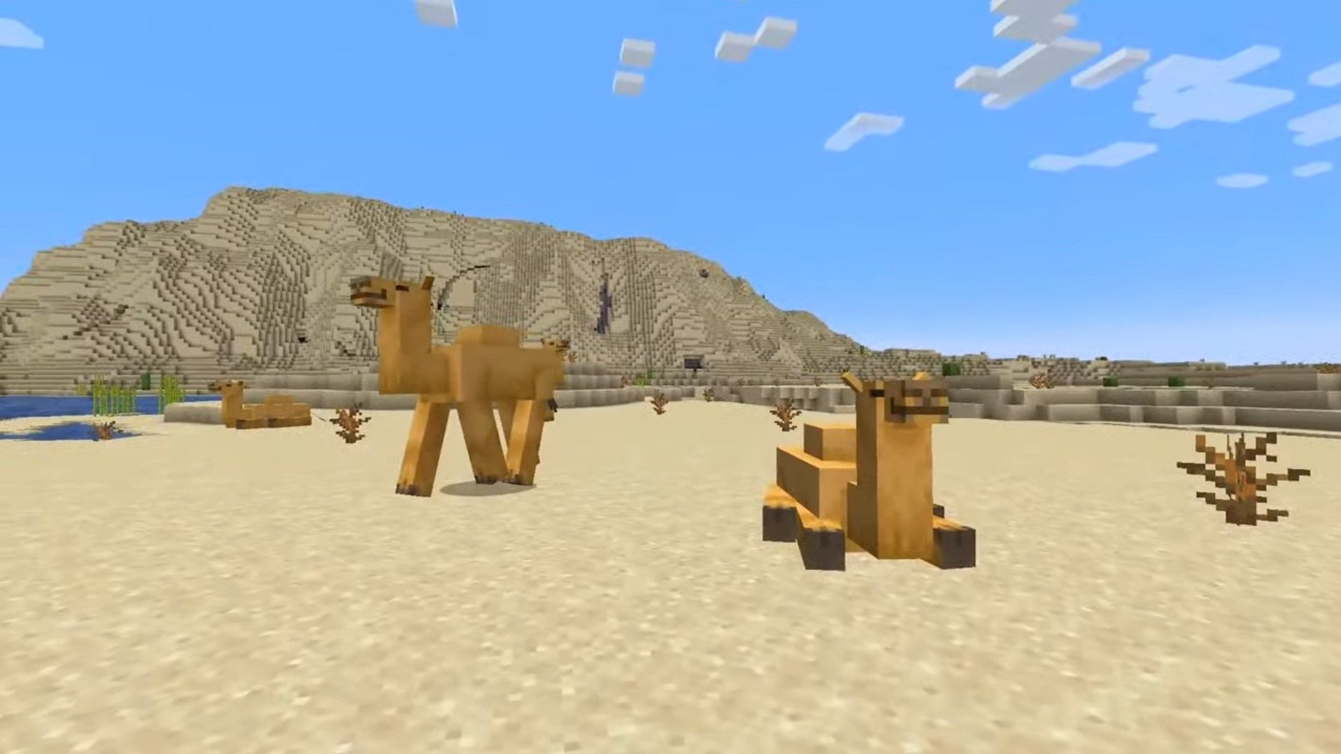 Minecraft 1.20 Actualizar Servidor Dedicado Camellos