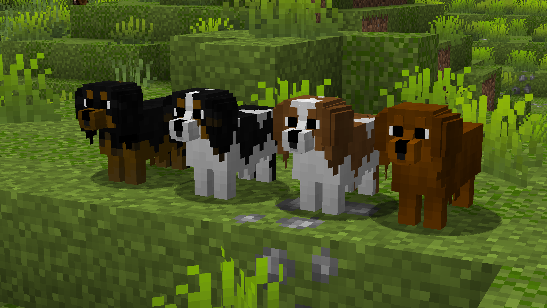 Paquete de texturas de Minecraft de las mejores razas de perros